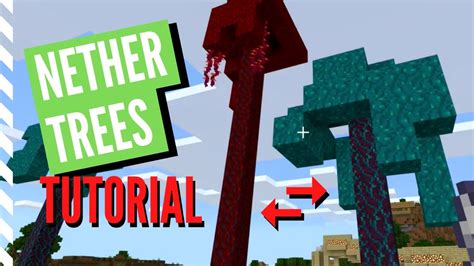 Can Trees Grow In The Nether? - OR Live