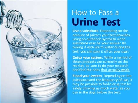Can U Pass A Drug Test By Drinking Water