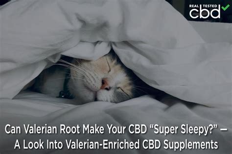 Can Valerian Root Make Your CBD “Super Sleepy?” — A Look Into Valerian-Enriched CBD Supplements