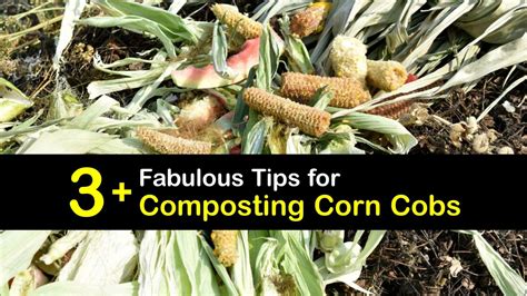 Can You Compost Corn Cobs? How to Compost Corn Waste