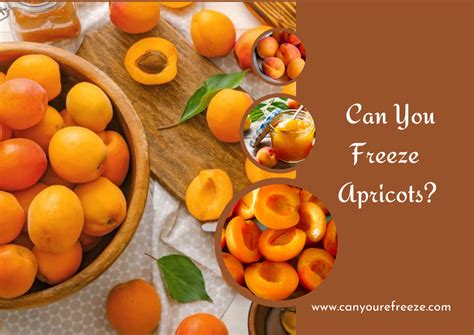 Can You Freeze Apricots? [3 Must-Read Tips] Freeze It