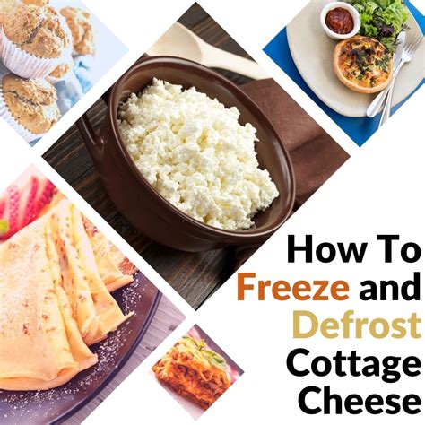 Can You Freeze Cottage Cheese? Learn How to Do This …