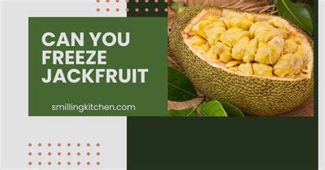 Can You Freeze Jackfruit? - Can You Freeze This?