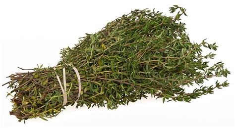 Can You Freeze Thyme? - PreparedCooks.com