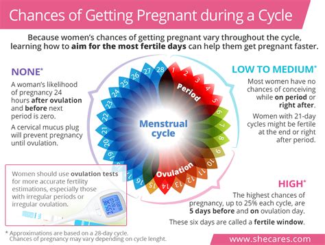 Can You Get Pregnant While on Your Period? Chances of Conceiving Du…