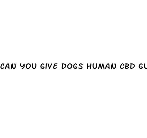 Can You Give Dogs Human Cbd Gummies