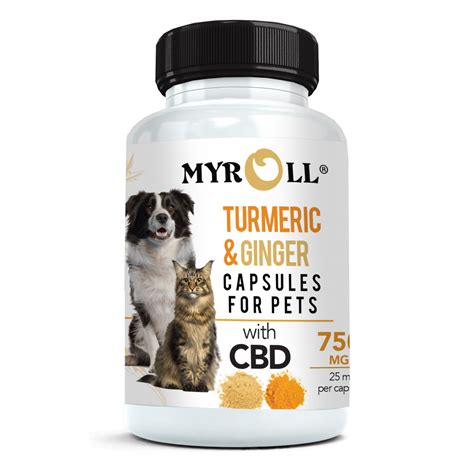 Can You Give Dogs Turmeric Ginger Cbd