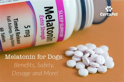 Can You Mix Cbd And Melatonin For Dogs