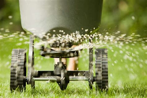 Can You Over-Fertilize Your Lawn? - The Spruce