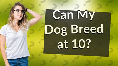 Can a 10 year old male dog still breed. .  <a href=https://smartdine.celard.onl...