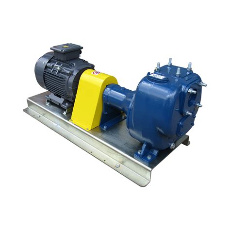 Can a self priming pump be used for low water levels