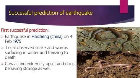 Can animal and insects predict earthquakes with infrasound