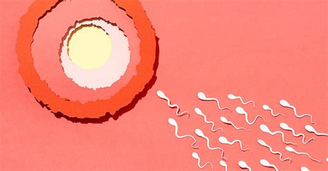 Can biological men get pregnant. .  <a href=http://insi.protarget.pro/f4...