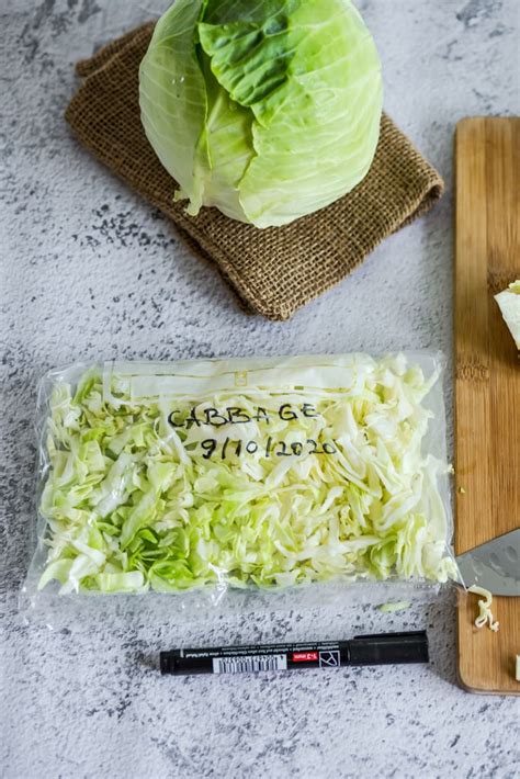 Can cabbage be frozen. Yes, you can freeze raw cabbage because it is 90% water. The best way to freeze shredded cabbage is to blanch first by submerging it in boiling water for 2.5 minutes before freezing in a freezer-safe container for up to 6 months. It’s best to cook cabbage before freezing, but make sure you blanch it first if you decide to freeze it raw. 