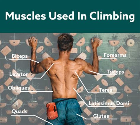 Can climbing replace back day.  If you can&rsquo;t go to the climbing gym at the mome...