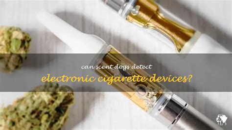 Can dogs detect vapes. A vape, also known as an electronic cigarette, e-cigarette, or vaporizer, is a battery-operated device that heats a liquid to produce an aerosol, which is then inhaled. The liquid, also known as e-juice or e-liquid, typically contains nicotine, flavorings, and other chemicals. Vapes come in various shapes and sizes, but they all have the same ... 