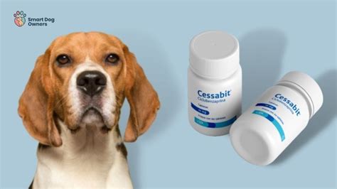 Can a dog have cyclobenzaprine? Muscle relaxants can be given to dogs 