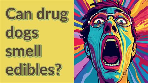 Can drug dogs smell edibles. Things To Know About Can drug dogs smell edibles. 