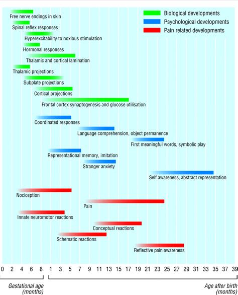 Can fetuses feel pain? The BMJ