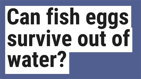 Can fish eggs live without water? - Quora