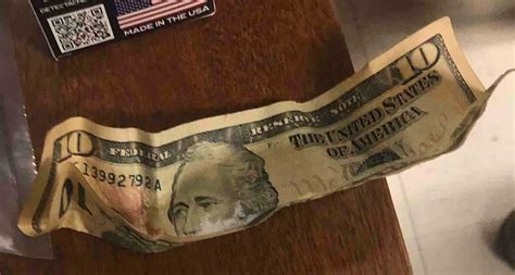 Can folded dollar bills on the ground be deadly? What to know