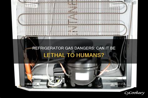 Can fridge gas kill you. .  <a href=https://socialite.brannanatkinson.com/assets/images/jnmajle...