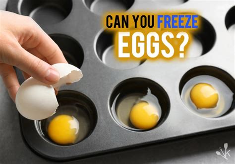 Can hard boiled eggs be frozen. Instead, to freeze whole eggs, crack them into a bowl and gently whisk until the whites and yolks are just combined. Pour the beaten eggs into an empty ice cube tray, freeze the tray until solid, then pop the cubes out into a zip-top freezer bag and store the bag in the freezer. Each cube is equal to about half a large egg. 