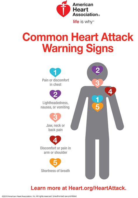 Can heart attack symptoms last for months. .  <a href=https://www.onestopbmp.com/assets/...