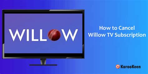 Can i cancel willow tv subscription? - Go Quick Qna