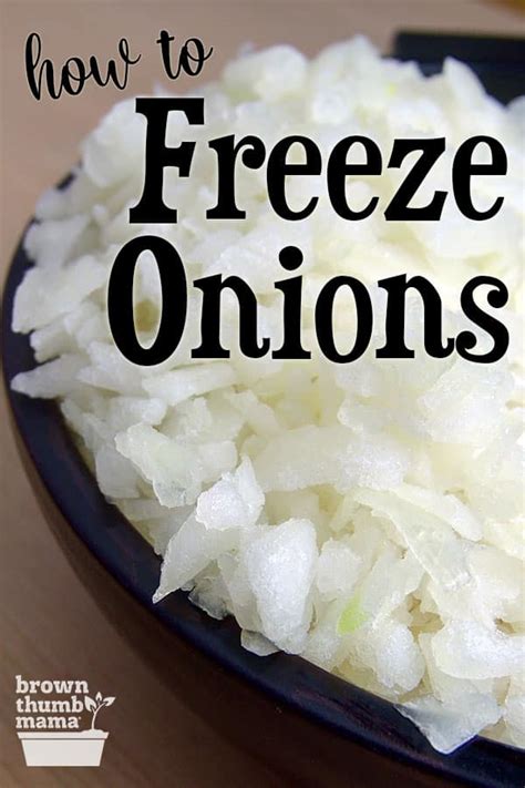 Can i freeze onions. 