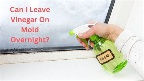 Can i leave vinegar on mold overnight. To use vinegar, mix one-part vinegar with three parts of water in a spray bottle and spritz the moldy area. Let the vinegar solution sit for several minutes before … 