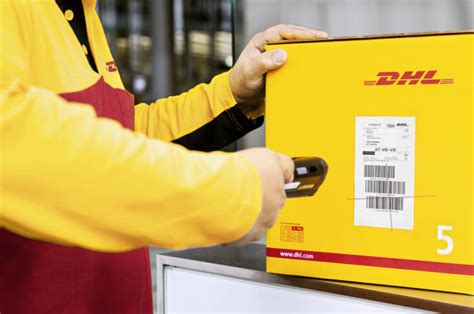 Understand your DHL Invoice. DHL provides 