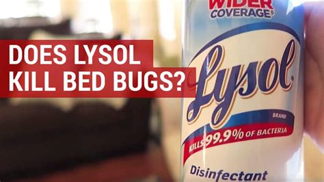 Can lysol kill bed bugs. Bed bugs are tiny, elusive creatures that can wreak havoc on your home and peace of mind. These nocturnal pests are notorious for their ability to hide in cracks and crevices, maki... 