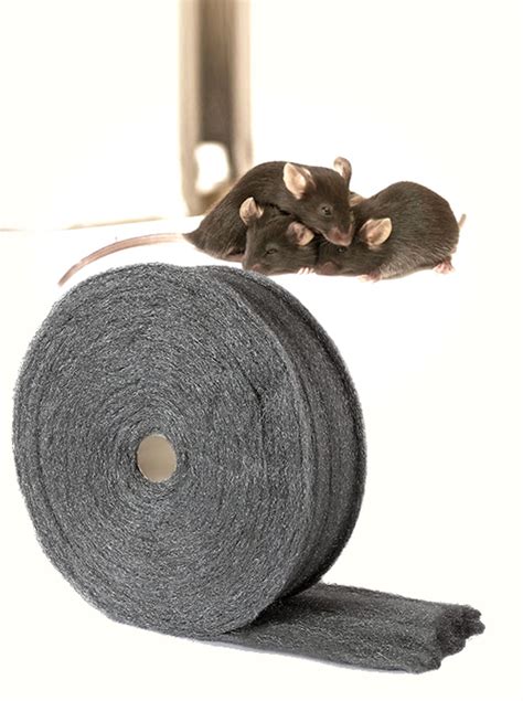 Can mice chew thru steel wool.  Browse through our professionally design...