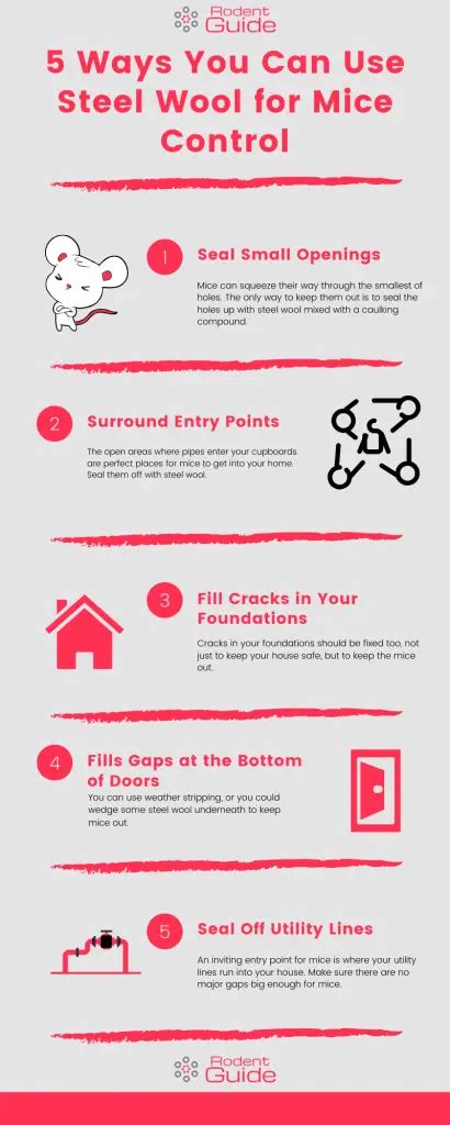 Can mice chew thru steel wool.  Use it to create social media posts, presentatio...