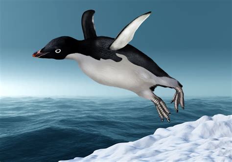 Can penguins fly. Things To Know About Can penguins fly. 