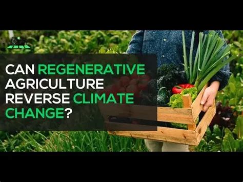 Can regenerative agriculture reverse climate change? Big Food is ...