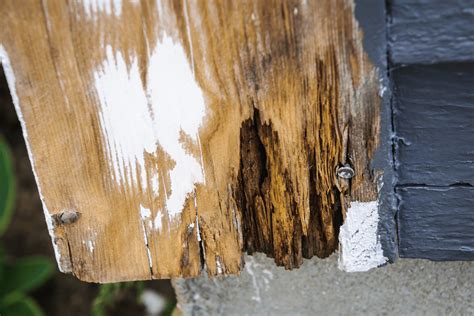 Can rotting wood be saved? - Interior