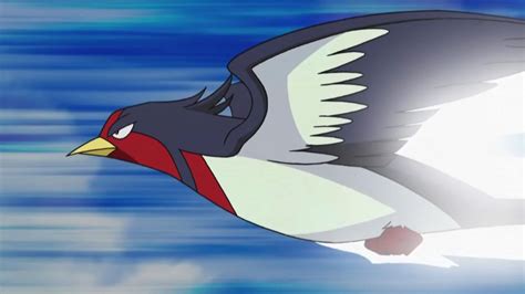 Can swellow learn fly? - Answers