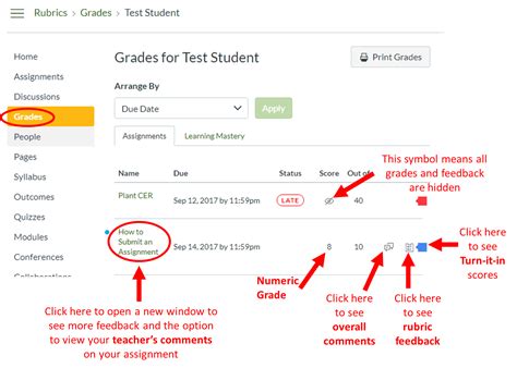 This lesson will guide you through the process of using Illuminate's proctoring tools for online assessments using General Proctoring tools. General proctoring views are real-time views as students are taking the assessment. They provide more overall information of the data via a student list view or by question breakdown.. 