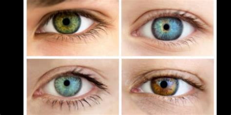 Can two brown-eyed people have a blue-eyed child?