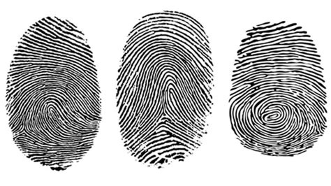 Can two humans have the same fingerprint? - emojicut.com