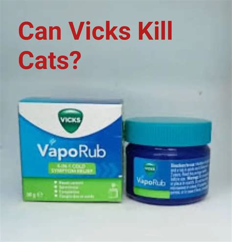 Vicks Vapor Rub (1 ) Vinegar, Oil (1 ) Vitamin E ... today in June 15, 07 and the problem is better but not cured. Olive oil, Vaseline, hand lotion any thing that wouldn't kill the cat and maybe smother the mites has been tried in addition to using a systemic flea/tick product. ... (Reinforce the neck with some quick stitches so the cat can't .... 