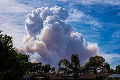 Can we prevent bushfires? Issues and challenges