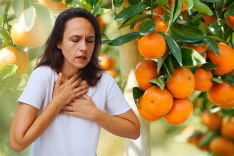 Can you be allergic to lemons but not oranges. .  <a href=https://larsa.pro:443/u1h8c3/recent-d...