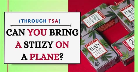 Can you bring a stiiizy on a plane in california. Key Takeaways: Can You Bring a Stiiizy on a Plane? 1. It is NOT allowed to bring a Stiiizy on a plane. 2. Airports and airlines have strict regulations against carrying vaping devices in the cabin. 3. Stiiizy pods contain liquid, which falls under the restrictions on carrying liquids on planes. 4. 