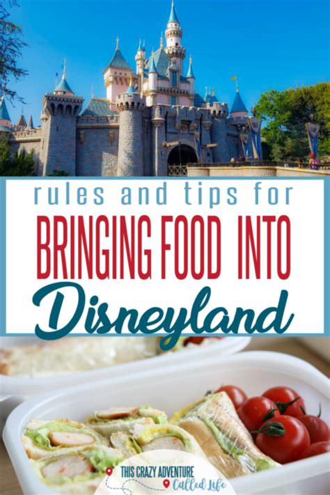 Can you bring water and food into disneyland. There is no limit to how much food you can bring into Disney World. While the sky is the limit, you do need to be able to comfortably carry all that food with you. We suggest bringing enough food and snacks to hold your family over to the next big meal. Find foods that take up little space in your bag and are not heavy. 