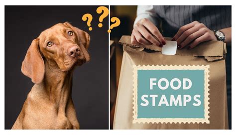 Can you buy dog food with food stamps. 