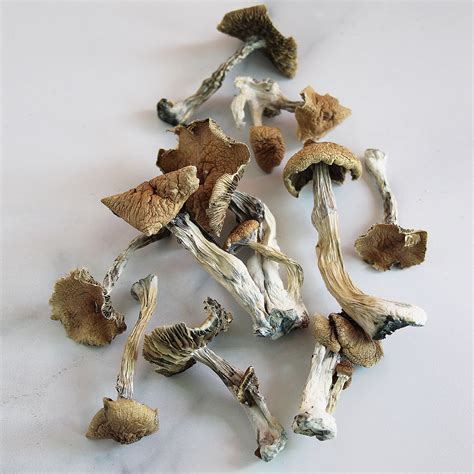 We simply make it safe and easy to buy magic mushrooms onlin