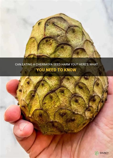 Mar 25, 2022 · How To Eat Cherimoya. How to eat cherimoya. To eat a cherimoya, First, cut the fruit in half with a sharp knife. If the fruit is ripe, it should be easy to cut through. You’ll then see a large black seed in the center of each half. Using a spoon, scoop out the fleshy part of the fruit around the seeds. You can now enjoy the delicious and ... . 